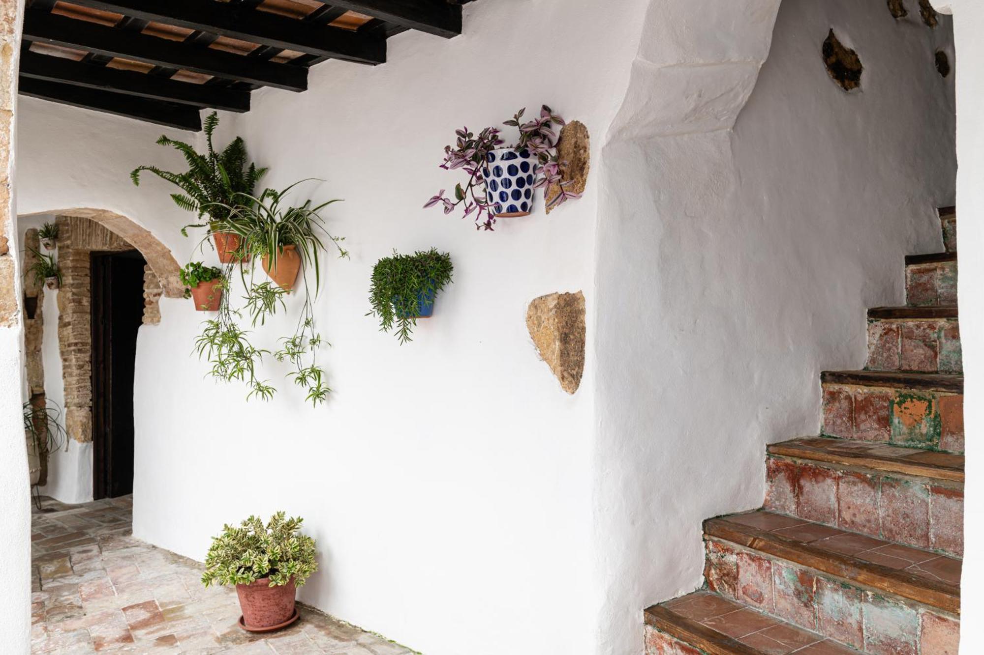 Casa Lunarito Vejer de la Frontera Εξωτερικό φωτογραφία